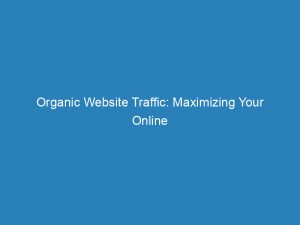 organic website traffic maximizing your online visibility 144441