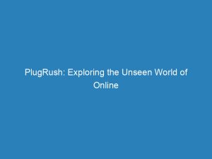 plugrush exploring the unseen world of online advertising 149352