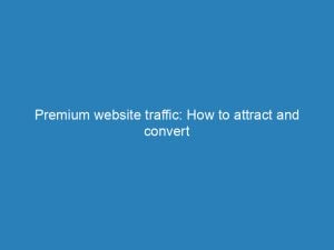 premium website traffic how to attract and convert 145332