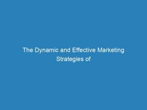 the dynamic and effective marketing strategies of online sellers exploring techniques and trends 152156