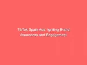 Tiktok Spark Ads: Igniting Brand Awareness And Engagement 6 Tiktok Spark Ads Igniting Brand Awareness And Engagement 148174