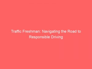 traffic freshman navigating the road to responsible driving 145240