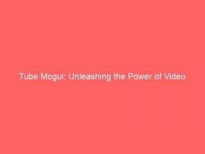 tube mogul unleashing the power of video advertising 146541