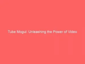 Tube Mogul: Unleashing The Power Of Video Advertising 1 Tube Mogul Unleashing The Power Of Video Advertising 146541