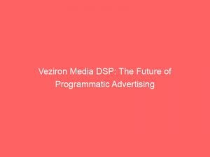 veziron media dsp the future of programmatic advertising 146788