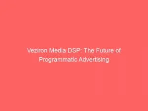Veziron Media Dsp The Future Of Programmatic Advertising 146788