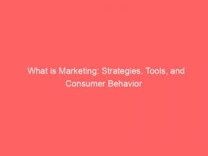 what is marketing strategies tools and consumer behavior 145209