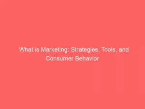 What Is Marketing Strategies Tools And Consumer Behavior 145209