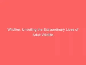 Wildline Unveiling The Extraordinary Lives Of Adult Wildlife 146307