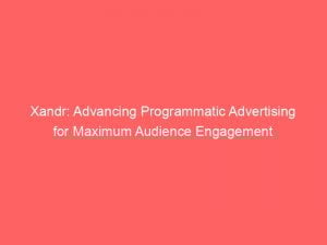 xandr advancing programmatic advertising for maximum audience engagement 146798