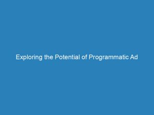 exploring the potential of programmatic ad networks a comprehensive guide 200914 1