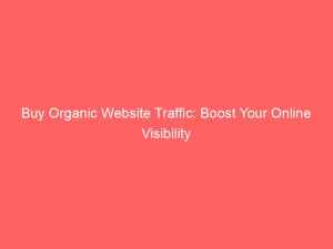 buy organic website traffic boost your online visibility 302473 1