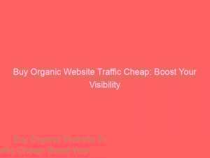 buy organic website traffic cheap boost your visibility 304425 1