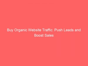 Buy Organic Website Traffic: Push Leads and Boost Sales 1 buy organic website traffic push leads and boost sales 303144 1