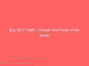 Buy Seo Traffic Unleash The Power Of The Spider 302742 1