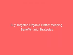 buy targeted organic traffic meaning benefits and strategies 304213 1