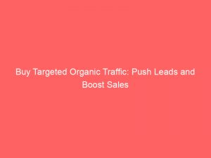 buy targeted organic traffic push leads and boost sales 303237 1