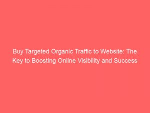 buy targeted organic traffic to website the key to boosting online visibility and success 300975 1
