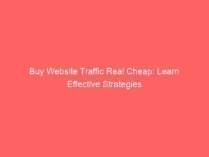 buy website traffic real cheap learn effective strategies 301211 1