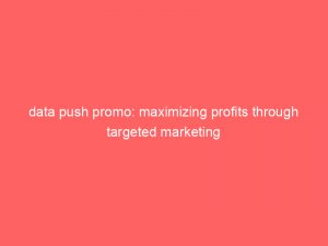 data push promo maximizing profits through targeted marketing 294475 1