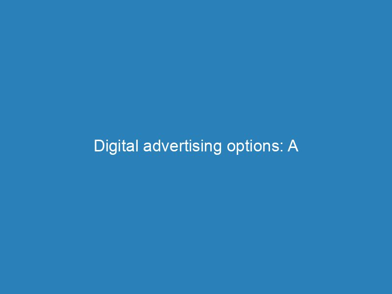 Digital Advertising Options A Comprehensive Guide For Success Froggy Ads
