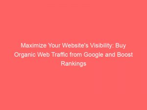 maximize your websites visibility buy organic web traffic from google and boost rankings 301677 1