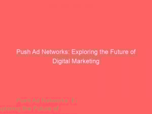 push ad networks exploring the future of digital marketing 293317 1