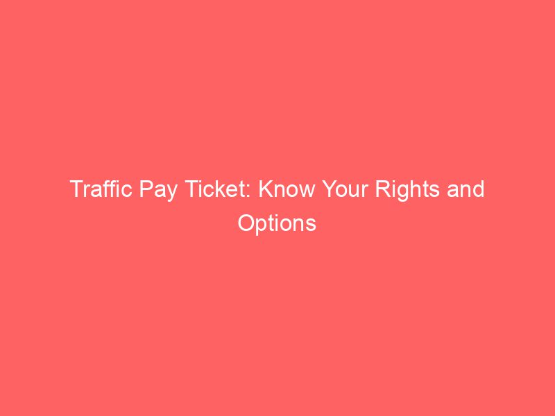 Traffic Pay Ticket Know Your Rights And Options