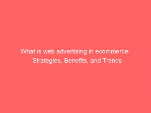 what is web advertising in ecommerce strategies benefits and trends 325804 1