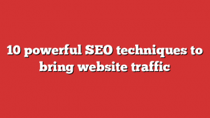 10 Powerful Seo Techniques To Bring Website Traffic