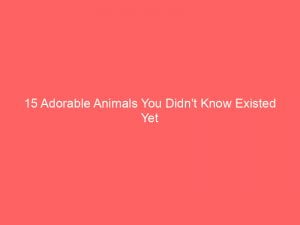 15 adorable animals you didnt know existed yet 346688 1