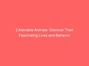 2 adorable animals discover their fascinating lives and behavior 346866 1