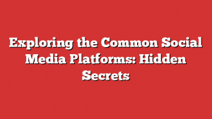 Exploring the Common Social Media Platforms: Hidden Secrets