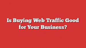 Is Buying Web Traffic Good For Your Business?