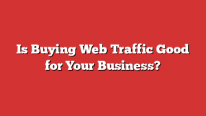 Is Buying Web Traffic Good for Your Business?