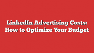 LinkedIn Advertising Costs: How to Optimize Your Budget