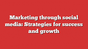 Marketing through social media: Strategies for success and growth