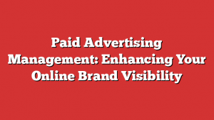 Paid Advertising Management: Enhancing Your Online Brand Visibility
