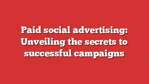 Paid social advertising: Unveiling the secrets to successful campaigns