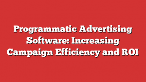 Programmatic Advertising Software: Increasing Campaign Efficiency and ROI