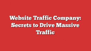Website Traffic Company: Secrets To Drive Massive Traffic