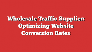 Wholesale Traffic Supplier: Optimizing Website Conversion Rates