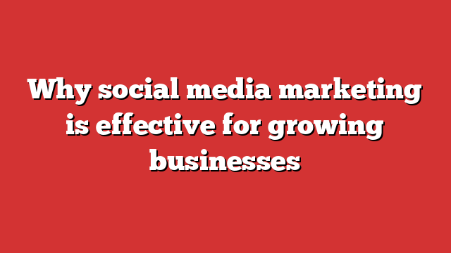 Why Social Media Marketing Is Effective For Growing Businesses - Froggy Ads