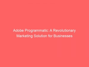 adobe programmatic a revolutionary marketing solution for businesses 349500 1