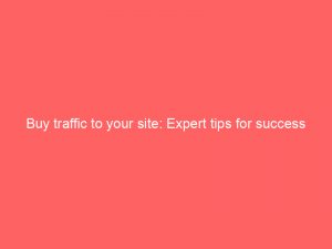 buy traffic to your site expert tips for success 381588 1