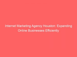 internet marketing agency houston expanding online businesses efficiently 345446 1