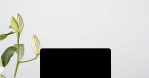 solo ads empower network
