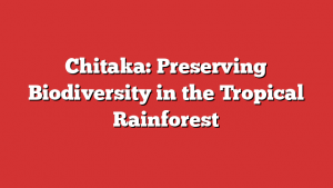 Chitaka: Preserving Biodiversity in the Tropical Rainforest 1 Chitaka: Preserving Biodiversity in the Tropical Rainforest