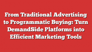 From Traditional Advertising to Programmatic Buying: Turn DemandSide Platforms into Efficient Marketing Tools