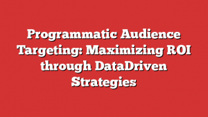 Programmatic Audience Targeting: Maximizing ROI through DataDriven Strategies